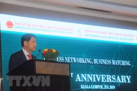 越南与马来西亚努力向双边贸易额150亿美元的目标迈进