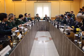 进一步加强越南与印度全面战略伙伴关系