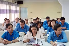 发挥工会组织在实施国际劳工标准中的作用