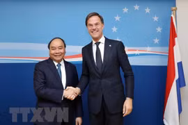 越南驻荷兰大使吴氏和：越荷两国关系将升级为全面伙伴关系