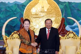 越南国会主席阮氏金银圆满结束对老挝进行的正式访问