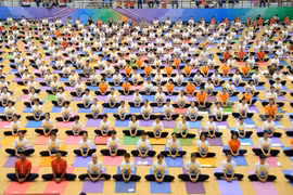 第五届国际瑜伽日—致力于绿色生活的瑜伽
