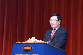 范平明：推动越南与中东和非洲国家关系走向深入