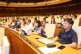 尽早启用越南公民电子护照