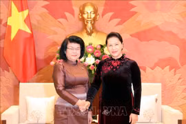 越南国会将同柬埔寨国会携手共促两国政府和人民的合作