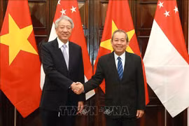 进一步促进越南与新加坡战略伙伴关系