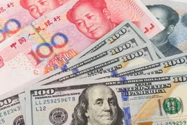 10月11日越盾对美元汇率中间价下调3越盾