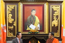 促进越南与不丹合作关系务实平稳发展