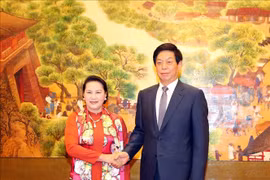 越南国会主席阮氏金银同中国全国人大常委会委员长栗战书举行会谈