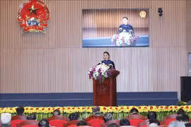 国会主席阮氏金银：检查部门应加强反腐倡廉力度
