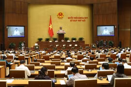 越南第十四届国会第七次会议：就备受关注的四大问题进行质询活动
