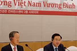 王廷惠：越南和韩国具备足够条件推动两国关系迈上更高台阶