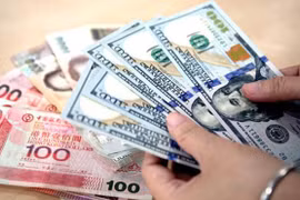 8月12日越盾对美元汇率中间价下调2越盾