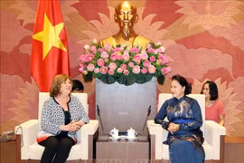越南国会主席阮氏金银会见法越议员友好小组主席