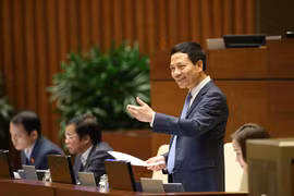 越南第十四届国会第八次会议：健全法制打击网络虚假新闻