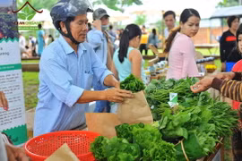 会安市与塑料垃圾说不 