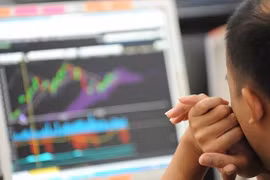 2018年12月份越南证券托管中心向206名外国投资者发放证券交易代码