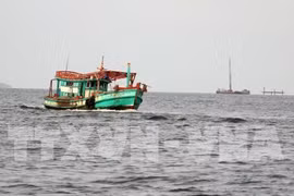 越南成立打击非法、不报告和不管制捕捞(IUU)国家指导委员会 