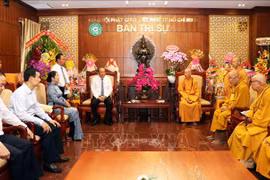 政府常务副总理张和平前往胡志明市开展佛诞节走访慰问活动