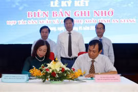 安江省将于6月份对美国出口芒果