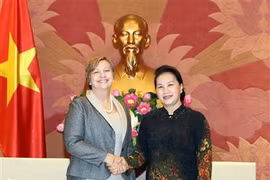越南国会主席阮氏金银会见联合国儿童基金会驻越首席代表
