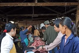 老挝首次发现非洲猪瘟疫情