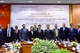 越南与非洲和中东各国进一步促进多方面的合作