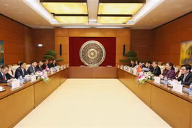 越南国会副主席丛氏放与老挝国会副主席宋潘·平坎米举行会谈