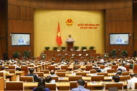 第十四届国会第七次会议继续讨论三项法案