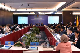 东盟地区论坛海洋安全中期工作组第十一次会议在岘港市开幕