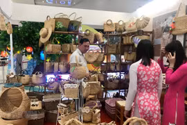 越瑞两国经济合作潜力巨大