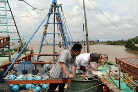 解除欧洲理事会IUU“黄牌警告”的4个解决方案