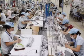 越南企业赴加拿大寻找纺织品服装出口机会