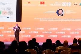 欧盟驻越南代表团团长：越南需要渐次将污染型能源转化为清洁能源