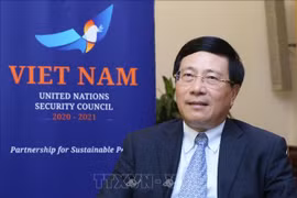 范平明：越南依照国际法优先推动全球性问题