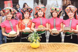 保护越南少数民族传统服装