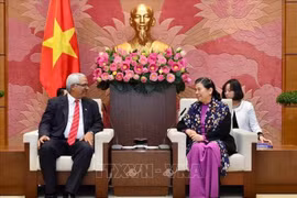 越南国会常务副主席丛氏放会见古巴司法部代表团