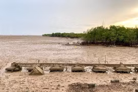 九龙江三角洲地面沉降平均每年下沉2-5公分