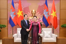 越南国会主席阮氏金银会见柬埔寨首相洪森