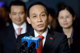  越南外交部副部长黎淮忠：越南革新成就已得到认可