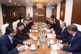越共中央经济部部长阮文平出席圣彼得堡国际经济论坛全体会议