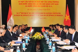 印尼外长：2018年是越印两国关系中的特别之年