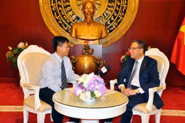 越中关系中的亮点
