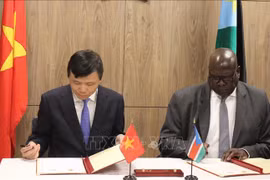 越南与南苏丹高度评价两国建立外交关系的意义