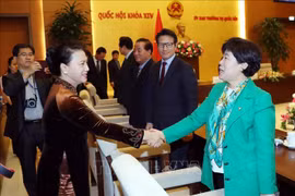 越南国会主席阮氏金银会见韩国越南友好议员小组主席金贺勇