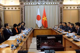 胡志明市领导会见日本外务副大臣安倍俊子