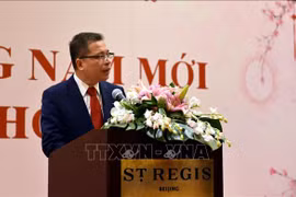 越南驻华大使馆举行迎春活动