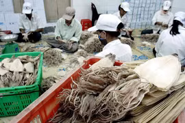 韩国是越南巨大出口市场之一