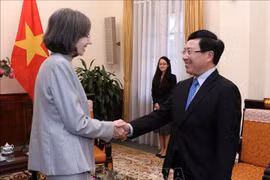 越南政府副总理兼外交部长范平明会见加拿大驻越特命全权大使