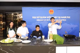 越南为南非东盟文化节的成功做出积极贡献